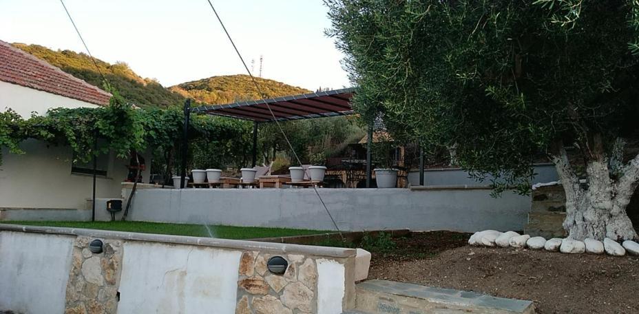 Villa Alexandra Nea Iraklitsa Exterior photo
